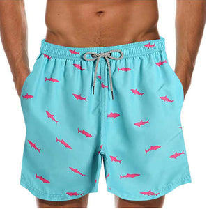 Shop Trendy Men's Shorts at Carvan Mart | Best Deals & Latest Styles