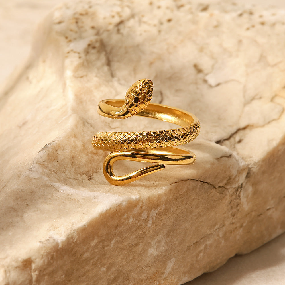 Classic Textured Serpentine Design Hollowed Out Ring - Carvan Mart
