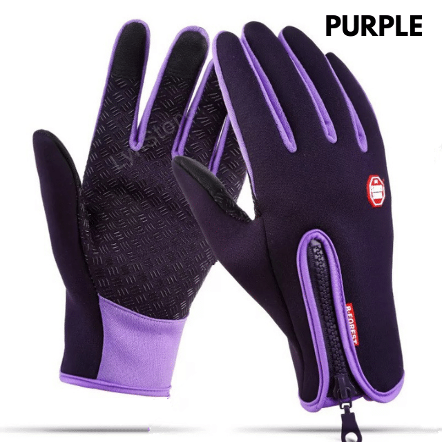 Winter Gloves Touch Screen Riding Motorcycle Sliding Waterproof Sports Gloves With Fleece - Purple - Men's Gloves - Carvan Mart