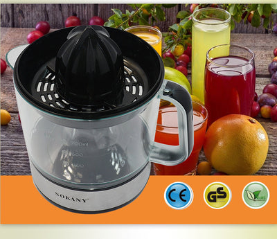 Portable Electric Blender Fruit Lemon Citrus Juicer Multi-function Milkshake Mixer Juice Maker Fruit Blender Juicing Machine - Carvan Mart