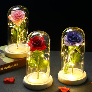 Glass Shade Rose Lamp - - Gift - Carvan Mart