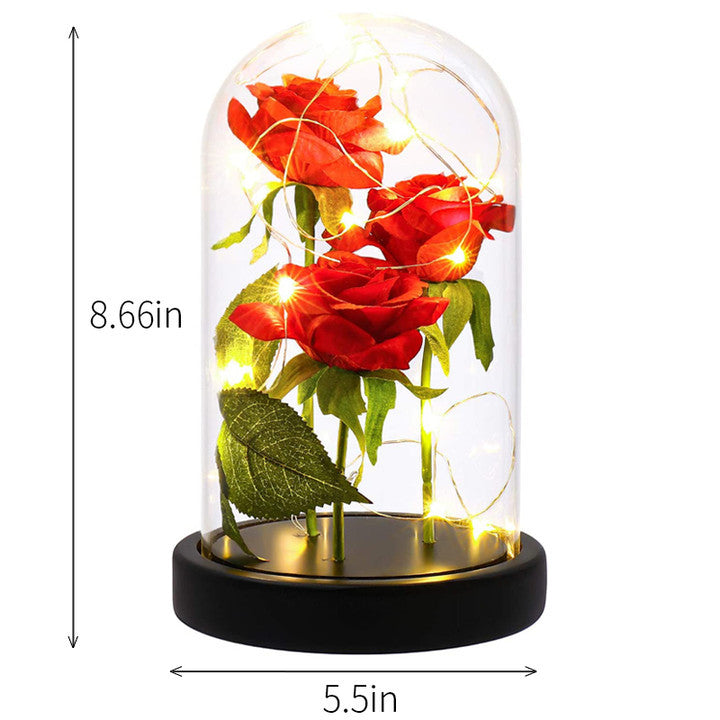 LED Night Light Immortal Flower Rose Decoration - - Gift - Carvan Mart