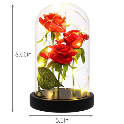 LED Night Light Immortal Flower Rose Decoration - - Gift - Carvan Mart