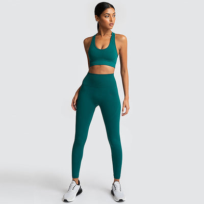 Seamless Gym Set Nylon Woman Sportswear - Carvan Mart