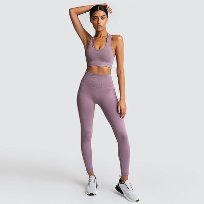 Seamless Gym Set Nylon Woman Sportswear - Lotus root purple - Active Attire - Carvan Mart