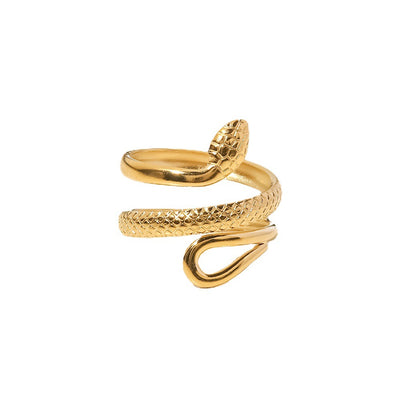Classic Textured Serpentine Design Hollowed Out Ring - Carvan Mart