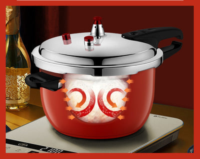 Pressure Cooker Stainless Steel Household Gas Induction Cooker - Carvan Mart