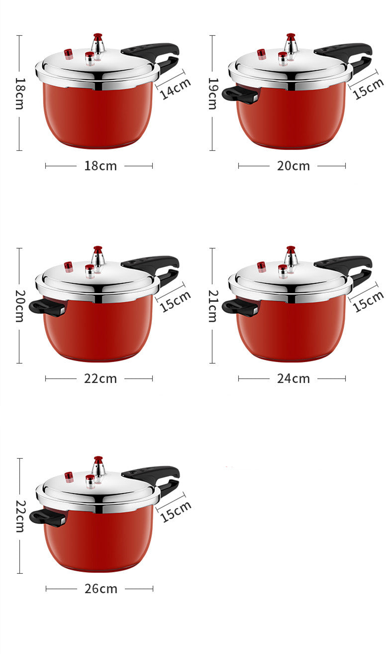 Pressure Cooker Stainless Steel Household Gas Induction Cooker - - Smart Ovens - Carvan Mart