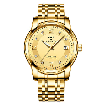 Business Luminous Waterproof Automatic Mechanical Watch - 8381 Gold Shell Gold Surface - Men's Watches - Carvan Mart