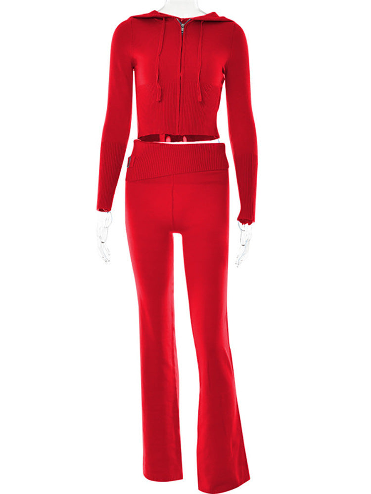 Hoodie Suit Leisure Zip Long Sleeve High Waist Women Long Pant Suit - - Suits & Sets - Carvan Mart