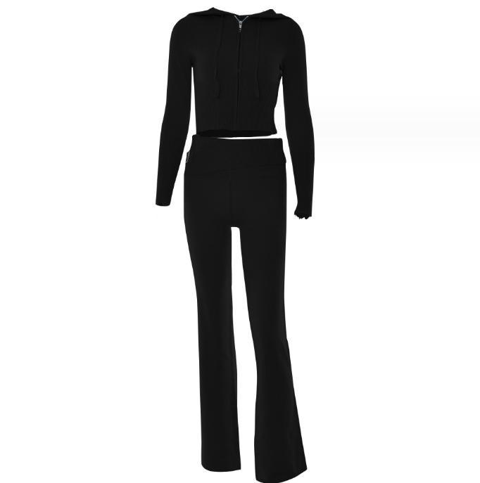 Hoodie Suit Leisure Zip Long Sleeve High Waist Women Long Pant Suit - Carvan Mart