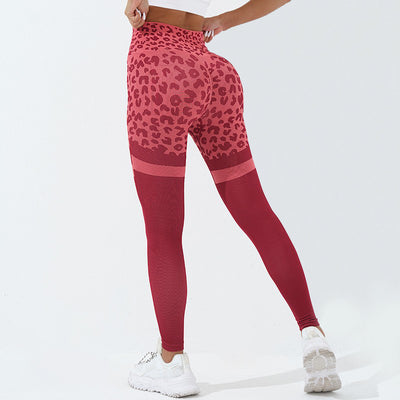 Fitness Pants Women High Waist Butt Lifting Seamless Leggings Elastic Sport Yoga Pants - Carvan Mart