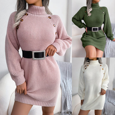 Women's Leisure Clinch Turtleneck Long Sleeve Base Sweater Dress - Carvan Mart