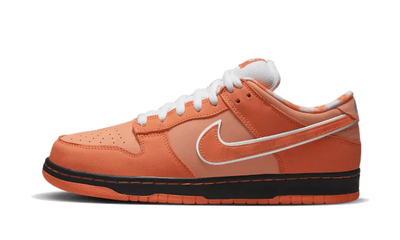 Nike SB Dunk Low Shoes - - Shoes - Carvan Mart