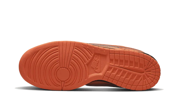 Nike SB Dunk Low Shoes - - Shoes - Carvan Mart